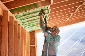 Best Insulation Removal  in USA